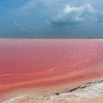 pink lake - las coloradas