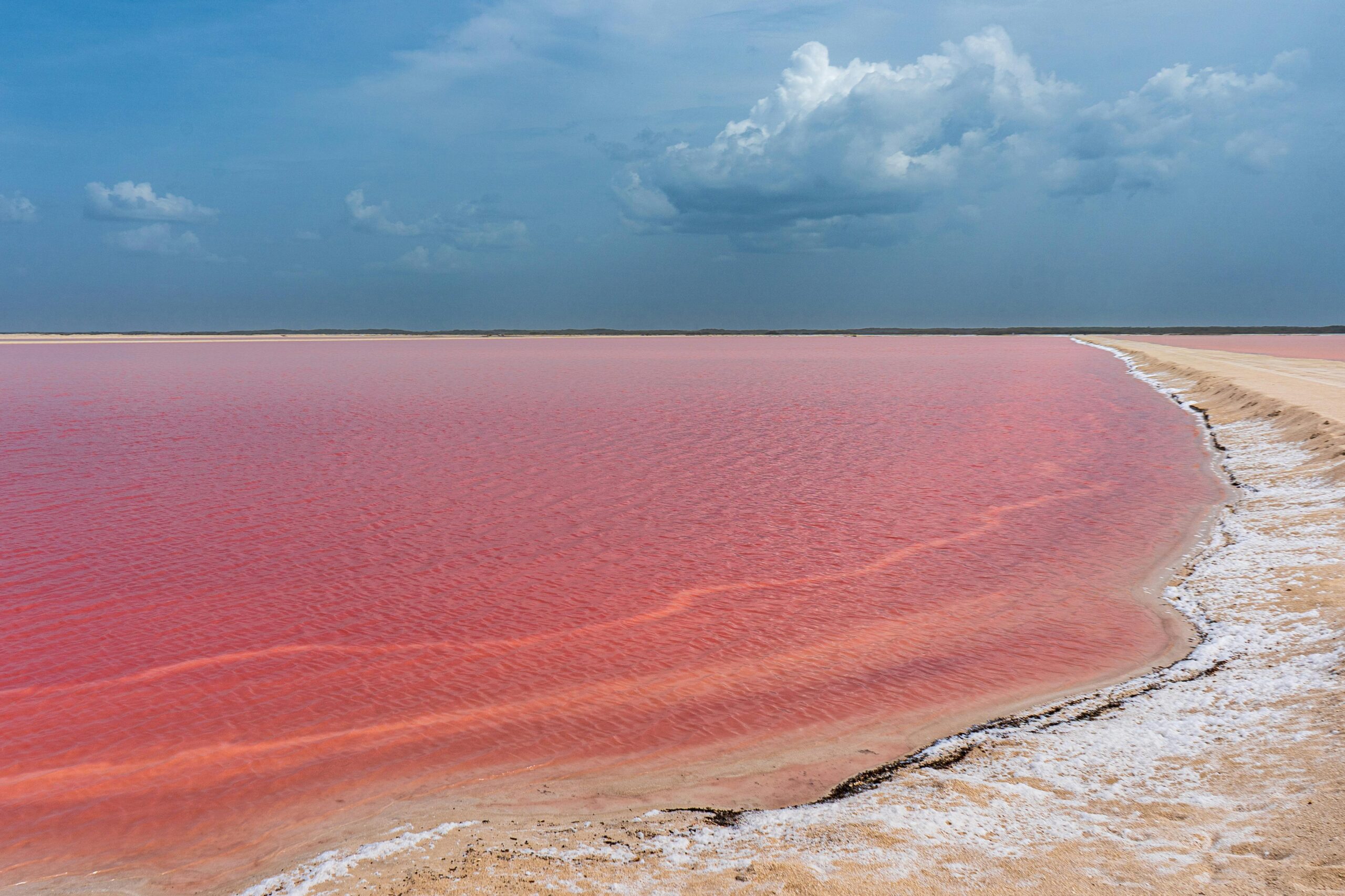 pink lake - las coloradas